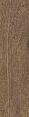 SG DUBLIN BROWN 15,5X62 G.1