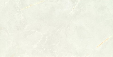 D CHIC STONE WHITE 30,8X60,8 G.1 D CHIC STONE WHITE 30,8X60,8 G.1