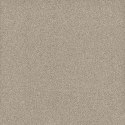 SG STARDUST BEIGE SDR10-1 30,5X30,5 G.1
