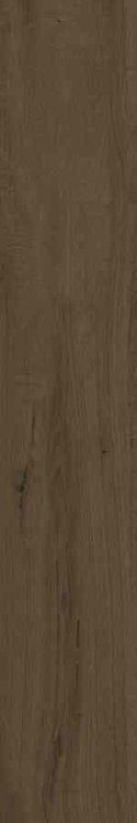SG SUOMI BROWN RELIEF REKT. 20X120 G.1