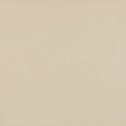 MODERNIZM BIANCO GRES MAT. 19,8X19,8 G1