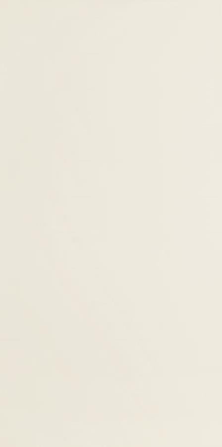 T MODERN PEARL BEIGE 59,8X29,8 G.1 T MODERN PEARL BEIGE 59,8X29,8 G.1