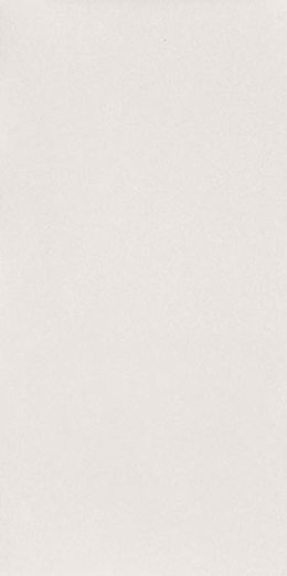 T REFLECTION WHITE 59,8X29,8 G.1