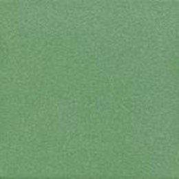 T MONO ZIELONE R 20X20 G.1