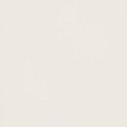 T MY TONES WHITE MAT 59,8X59,8 G.1
