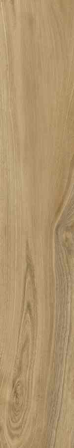 SG DREAMWOOD REKT. 20X120 G.1 SG DREAMWOOD REKT. 20X120 G.1