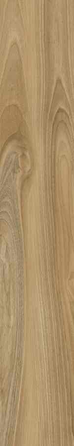 SG DREAMWOOD REKT. 20X120 G.1 SG DREAMWOOD REKT. 20X120 G.1