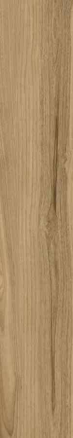 SG DREAMWOOD REKT. 20X120 G.1 SG DREAMWOOD REKT. 20X120 G.1