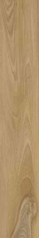 SG DREAMWOOD REKT. 20X120 G.1 SG DREAMWOOD REKT. 20X120 G.1