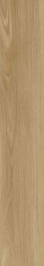SG DREAMWOOD REKT. 20X120 G.1 SG DREAMWOOD REKT. 20X120 G.1