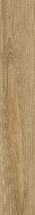 SG DREAMWOOD REKT. 20X120 G.1 SG DREAMWOOD REKT. 20X120 G.1