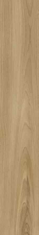 SG DREAMWOOD REKT. 20X120 G.1 SG DREAMWOOD REKT. 20X120 G.1