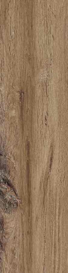 SG SIENA MARRONE 15,5X62 G.1 SG SIENA MARRONE 15,5X62 G.1
