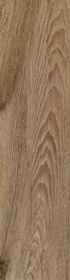 SG SIENA MARRONE 15,5X62 G.1 SG SIENA MARRONE 15,5X62 G.1