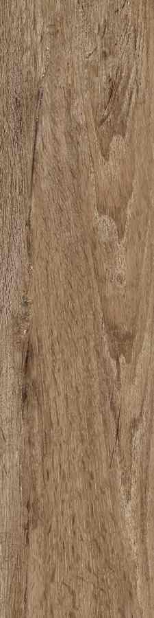 SG SIENA MARRONE 15,5X62 G.1 SG SIENA MARRONE 15,5X62 G.1