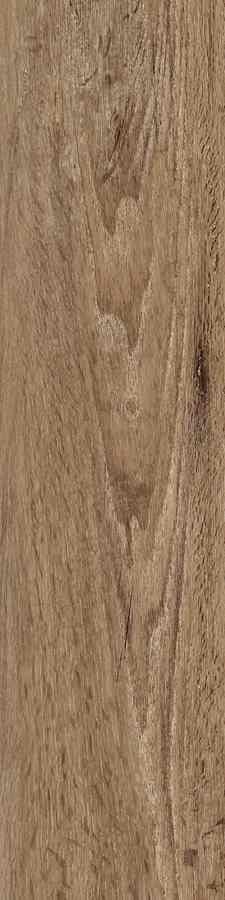 SG SIENA MARRONE 15,5X62 G.1 SG SIENA MARRONE 15,5X62 G.1