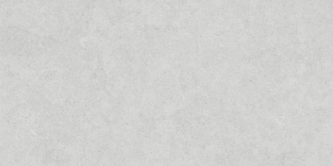 S ARGENTA ETIENNE WHITE MATT 60X120 G.1 S ARGENTA ETIENNE WHITE MATT 60X120 G.1