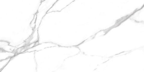 S GEOTILES NILO BLANCO POLISHED REKT. 60X120 G.1 S GEOTILES NILO BLANCO POLISHED REKT. 60X120 G.1