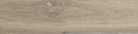 SG DUBLIN ALMOND 15,5X62 G.1 SG DUBLIN ALMOND 15,5X62 G.1