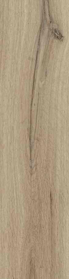 SG DUBLIN ALMOND 15,5X62 G.1 SG DUBLIN ALMOND 15,5X62 G.1