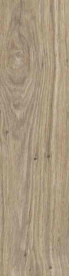 SG DUBLIN ALMOND 15,5X62 G.1 SG DUBLIN ALMOND 15,5X62 G.1