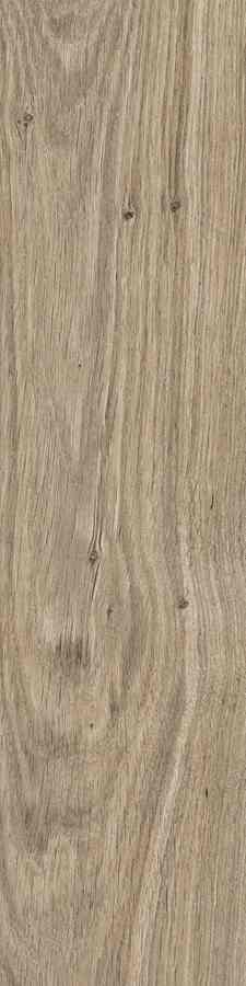 SG DUBLIN ALMOND 15,5X62 G.1 SG DUBLIN ALMOND 15,5X62 G.1