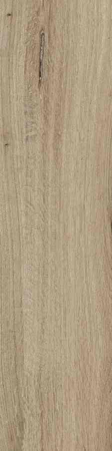 SG DUBLIN ALMOND 15,5X62 G.1 SG DUBLIN ALMOND 15,5X62 G.1