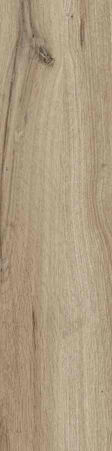 SG DUBLIN ALMOND 15,5X62 G.1 SG DUBLIN ALMOND 15,5X62 G.1