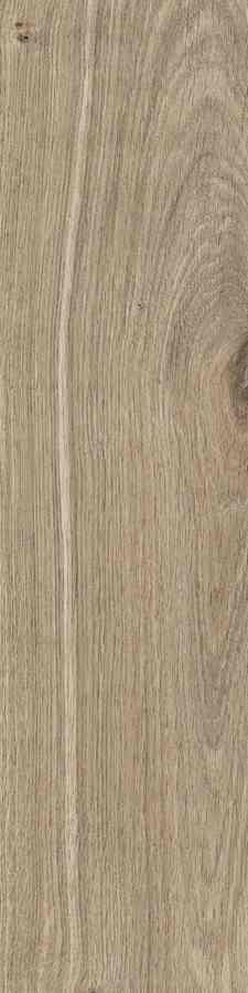 SG DUBLIN ALMOND 15,5X62 G.1 SG DUBLIN ALMOND 15,5X62 G.1