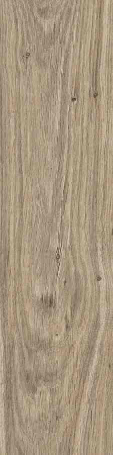 SG DUBLIN ALMOND 15,5X62 G.1 SG DUBLIN ALMOND 15,5X62 G.1
