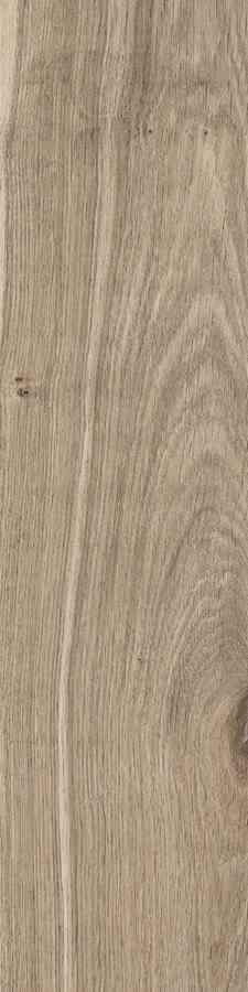 SG DUBLIN ALMOND 15,5X62 G.1 SG DUBLIN ALMOND 15,5X62 G.1