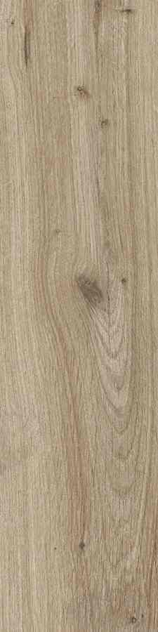 SG DUBLIN ALMOND 15,5X62 G.1 SG DUBLIN ALMOND 15,5X62 G.1