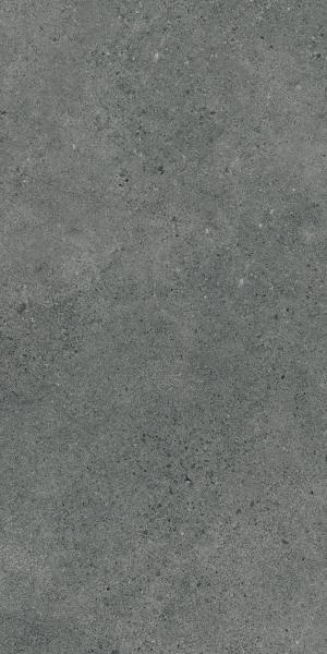 AUTHORITY GRAPHITE GRES SZKL. REKT. MAT 60X120 G1 AUTHORITY GRAPHITE GRES SZKL. REKT. MAT 60X120 G1