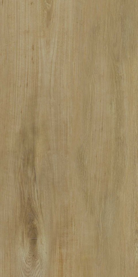 SG SCANDINAVIA BEIGE 30X60 G.1 SG SCANDINAVIA BEIGE 30X60 G.1