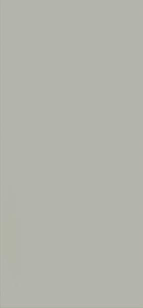 NEVE GRYS ŚCIANA POŁYSK 30X60 G1 NEVE GRYS ŚCIANA POŁYSK 30X60 G1