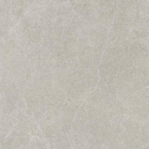 P U118 LIGHT GREY GRES SZKL. REKT. MAT. 59,8X59,8 G.1 P U118 LIGHT GREY GRES SZKL. REKT. MAT. 59,8X59,8 G.1