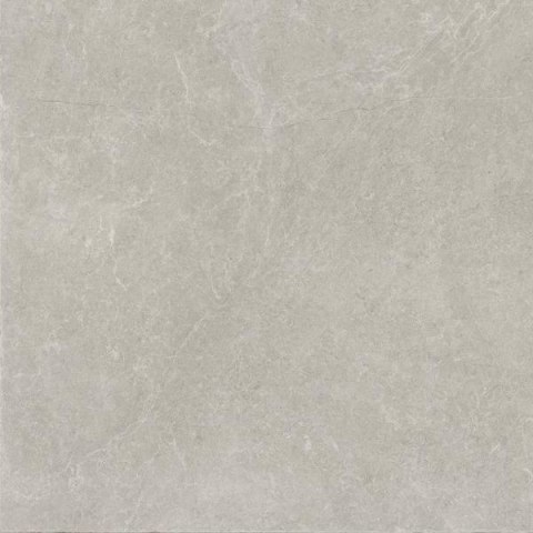 P U118 LIGHT GREY GRES SZKL. REKT. MAT. 59,8X59,8 G.1 P U118 LIGHT GREY GRES SZKL. REKT. MAT. 59,8X59,8 G.1