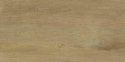 SG SCANDINAVIA BEIGE 30X60 G.2