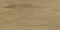 SG SCANDINAVIA BEIGE 30X60 G.2