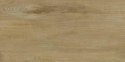 SG SCANDINAVIA BEIGE 30X60 G.2