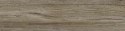 SG SIENA GRIGIA 15,5X62 G.1