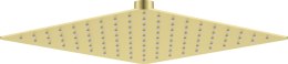 Deante Głowica prysznicowa stalowa - 250x250 mm