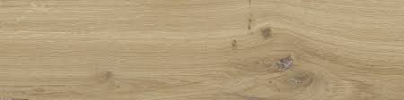 SG DUBLIN BEIGE GRES MAT. 15,5X62 G.1 SG DUBLIN BEIGE GRES MAT. 15,5X62 G.1